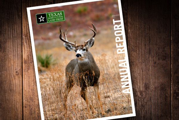 2015 TALT Annual Report