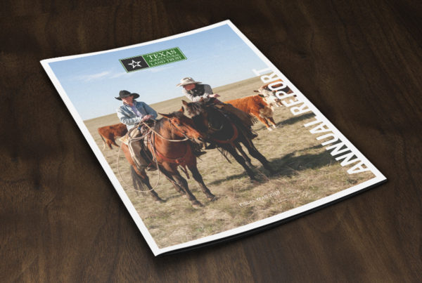 TALT Annual Report 2018