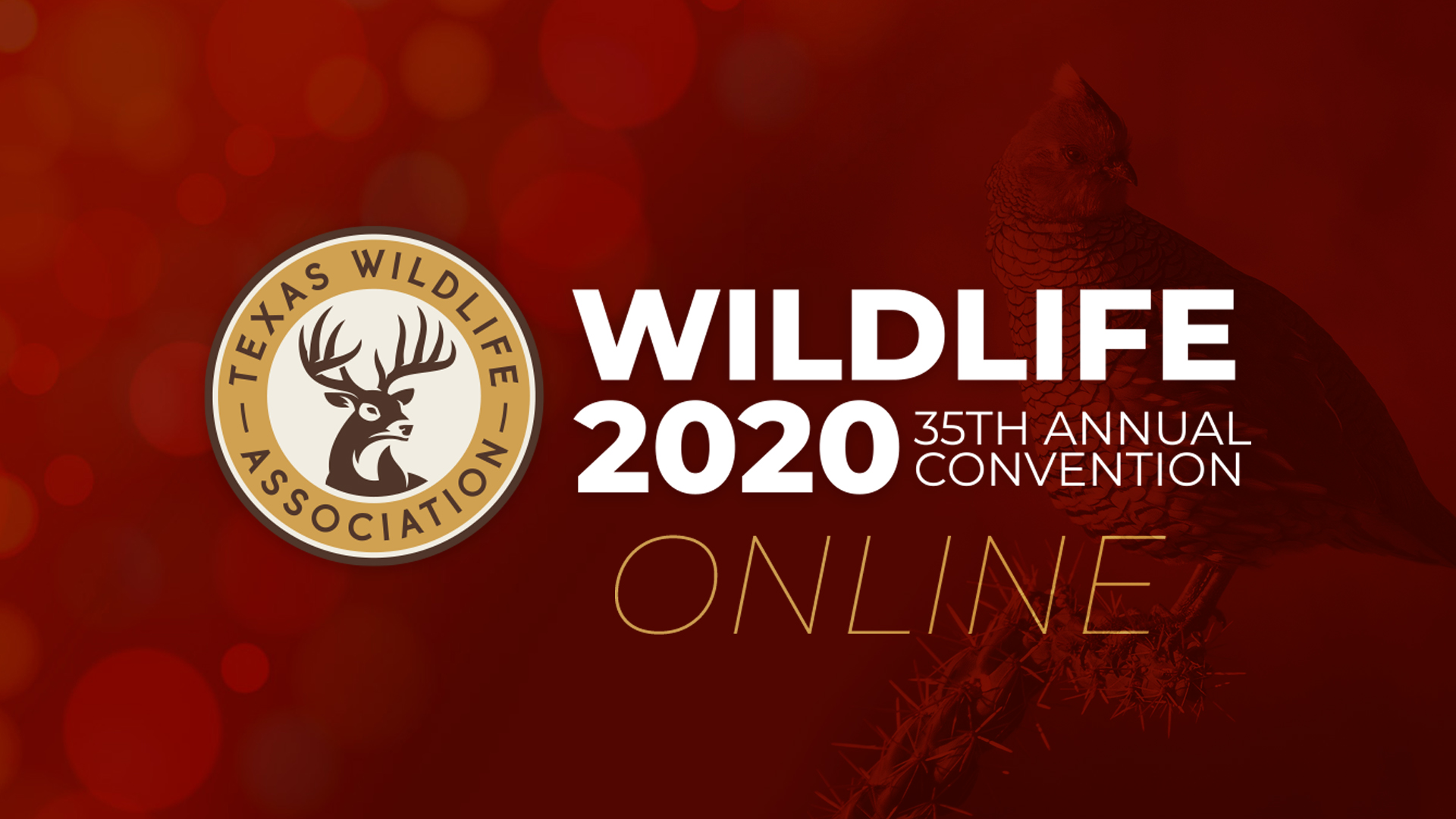 Wildlife 2020 Texas Wildlife Association