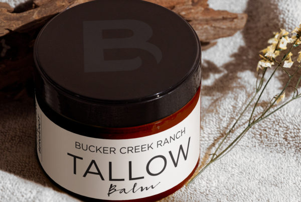 BCR Tallow
